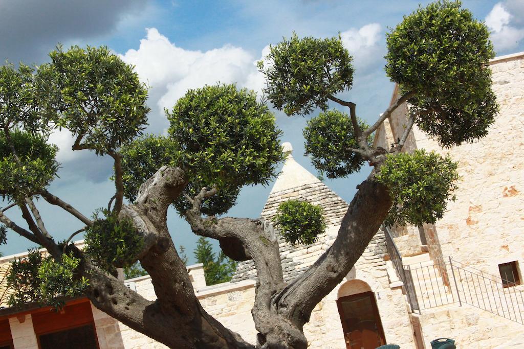B&B Fiano Marchione Castellana Grotte Ngoại thất bức ảnh